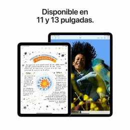 Tablet Apple iPad Air 2024 8 GB RAM 256 GB 11" M2 Grau